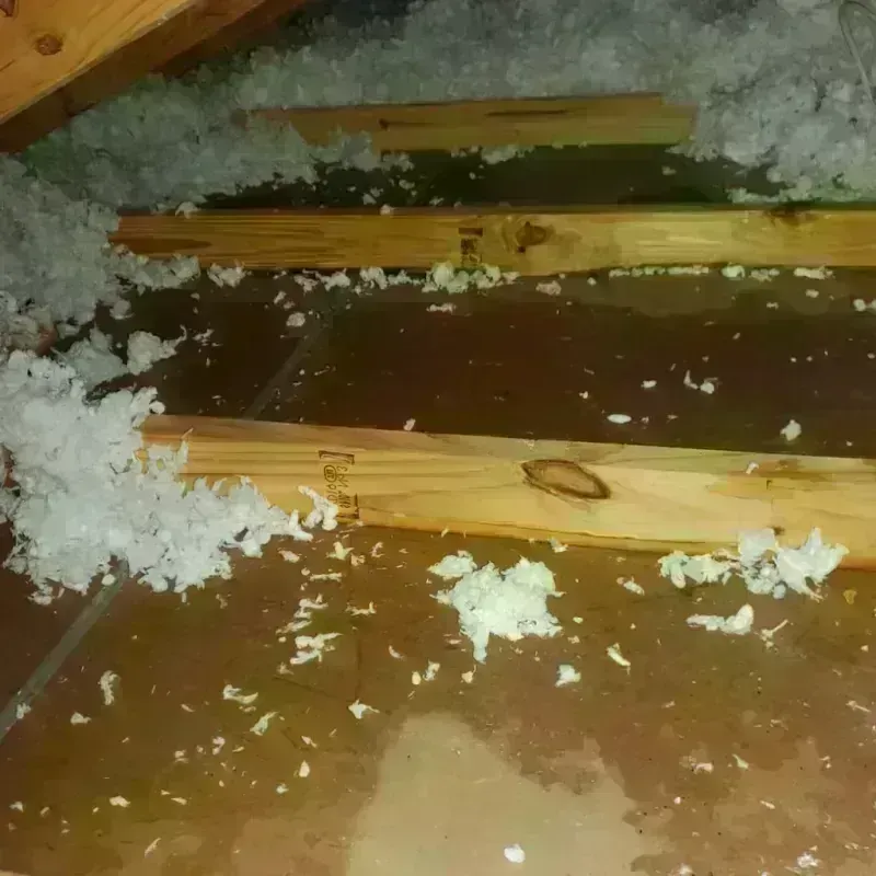 Attic Water Damage in Broken Arrow, OK