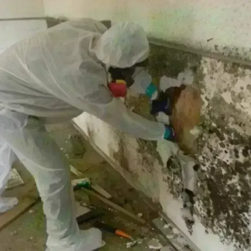 Mold Remediation and Removal in Broken Arrow, OK