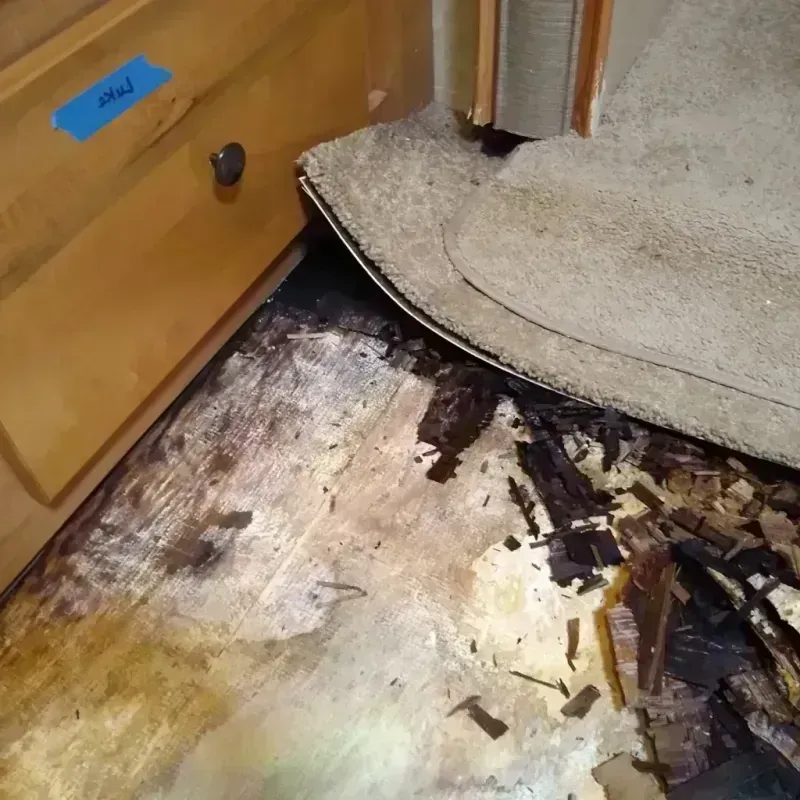 Wood Floor Water Damage in Broken Arrow, OK